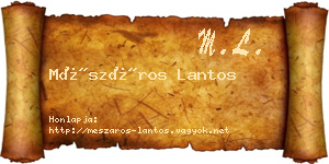 Mészáros Lantos névjegykártya